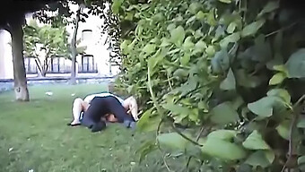 Auf Frischer Tat Erwischt: 60 Fps Küssen Und Doggy-Blowjob