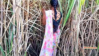 Indian Aunty Fucked Hard In A Sugarcane Field