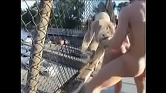 Outdoor Fucking With A Blonde In Public