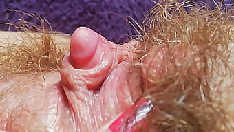 Amateur Hairy: Intense Clitoris Stimulation With Hd Video