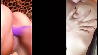 Chicas Y Chicas Lesbianas En Solitario En Una Extravagancia De Pantalla Dividida